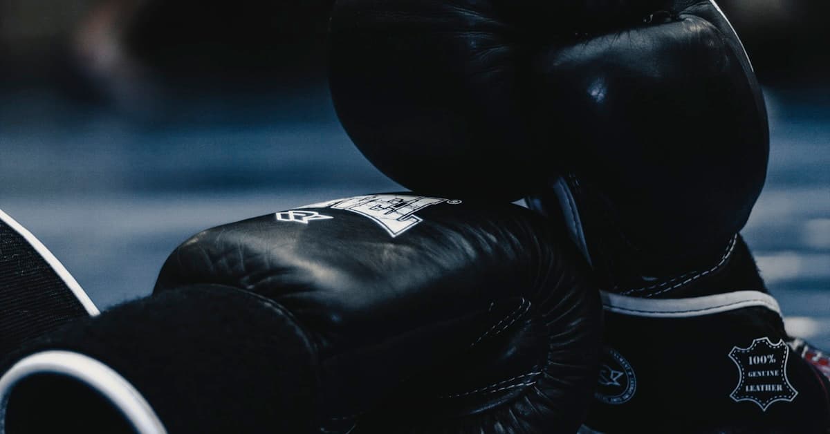 Boxen: WM im Schwergewicht – Weltmeisterschaftskampf