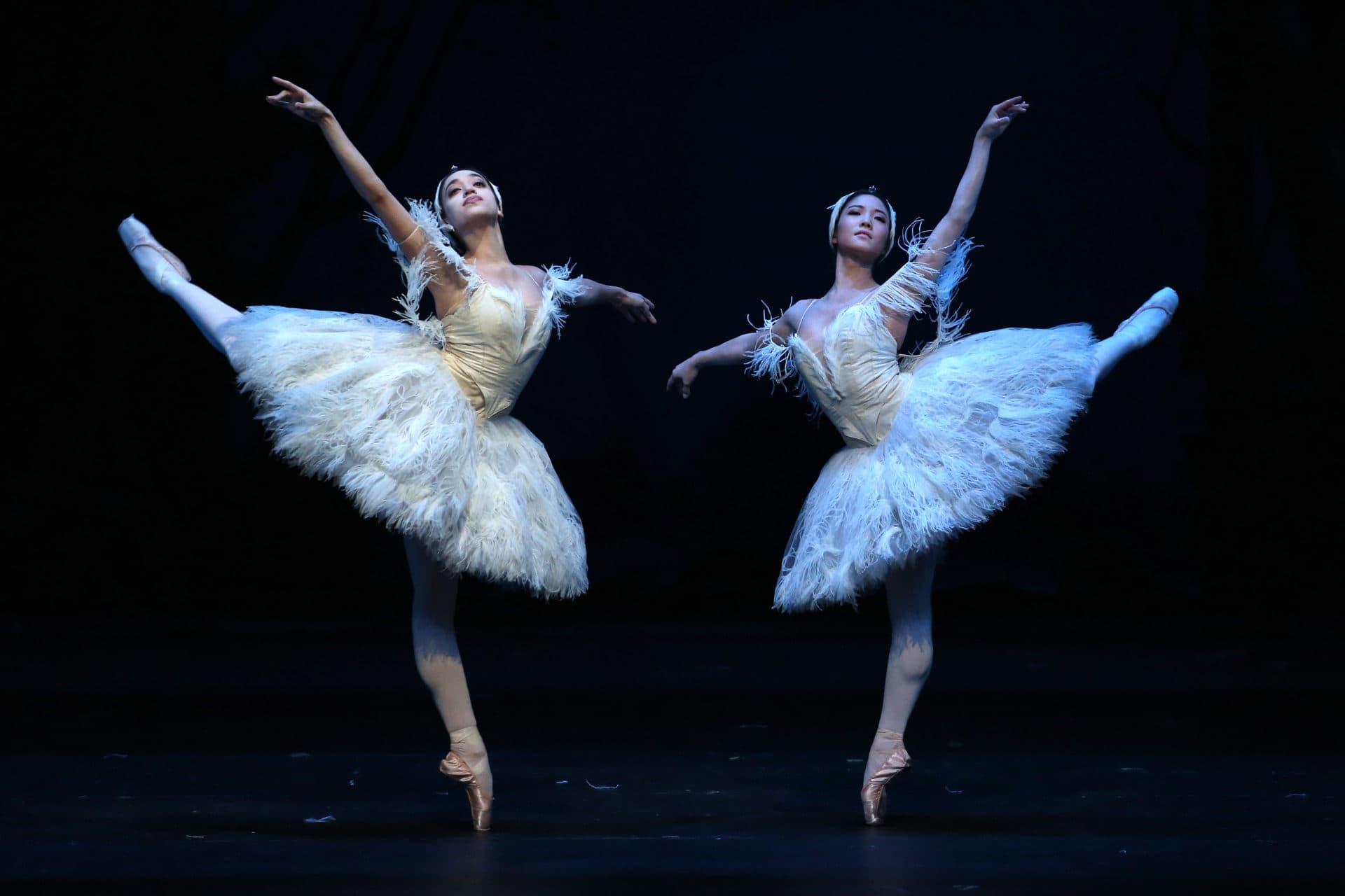 Hamburger Ballett: Schwanensee
